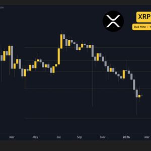 XRP价格图表