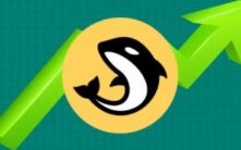 ORCA逆势飙升：Upbit交易量推动代币突破1.29美元，单日暴涨62%