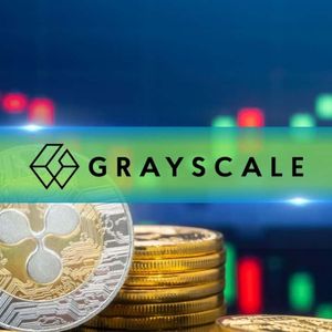 XRP社区活跃度