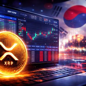 XRP交易数据分析