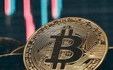 比特币交易主导地位增强，山寨币交易量暴跌50%