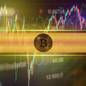 加密货币市场策略表现对比
