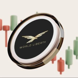 World Liberty Financial论坛现场