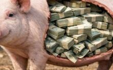 纽约总检察长警告：加密货币'杀猪盘'诈骗激增，受害者损失惨重