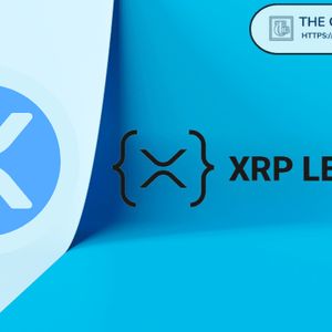 XRPL DEX发展