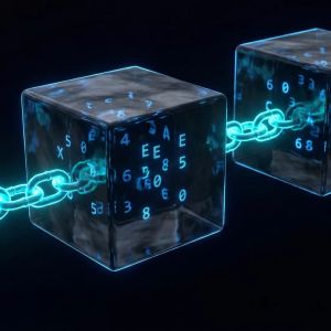 Robinhood Layer-2区块链测试网