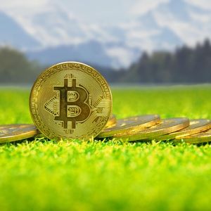 比特币鲸鱼持仓图表