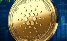 灰度加大Cardano押注！智能合约基金增持ADA，专家称市场低估其长期潜力