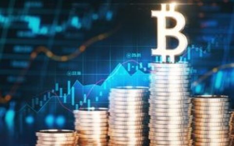 MSTY：通过期权策略获取收入并降低MSTR波动风险的投资选择