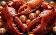 Openclaw的20+项加密货币功能解析——为何验证至关重要