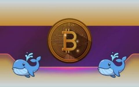 比特币暴跌至新低，鲸鱼遭6150万美元清算