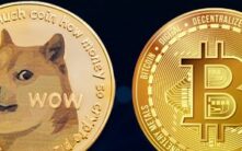 狗狗币显现早期超越比特币迹象，技术分析揭示潜在动量转变