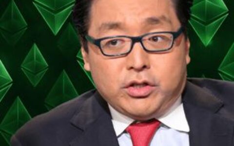 数字资产管理公司Bitmine在市场回调中增持51,162个ETH，目标控制5%以太坊供应