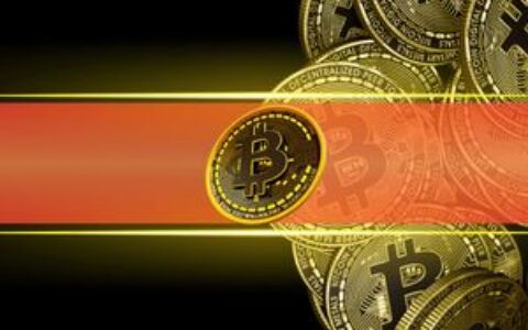 Matt Hougan：比特币仍处’青少年阶段’，波动是成熟必经之路