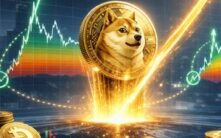 狗狗币创下关键周期指标新纪录：底部已现？