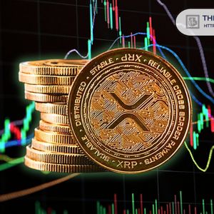XRP市场周期分析