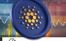 Grayscale智能合约基金中Cardano配置比例飙升至20.2%