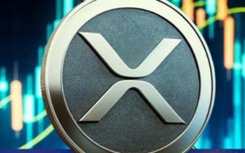 XRP实现损失达9.08亿美元，创2022年以来最大峰值：历史告诉我们什么