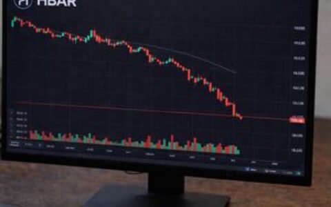 看跌情绪主导市场，HBAR或重新测试0.08665美元支撑位