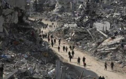 特朗普和平委员会考虑发行稳定币为加沙提供人道主义援助