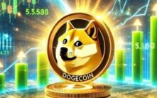 狗狗币分析师揭秘：何时才能赚到'真正的钱'？