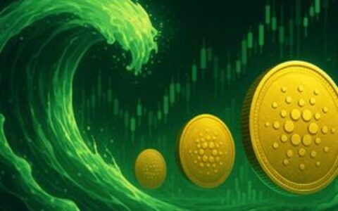 Cardano获机构青睐：智能合约基金敞口激增，ADA配置比例突破20%