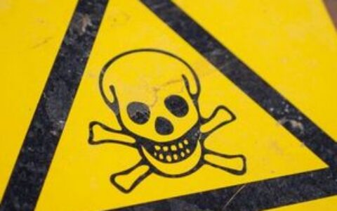 从加密伙伴到投毒嫌犯：韩国商业合作悲剧收场