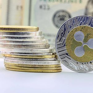XRP价格预测