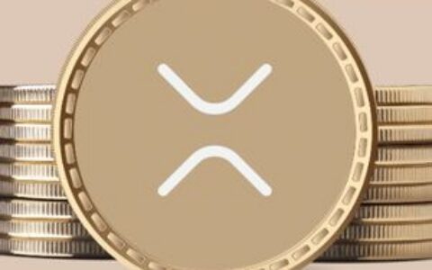 专家建议：聚焦成为XRP持有量前1%，而非美元价值前1%