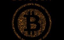 比特币价格腰斩50%，但采用率却达到历史最强水平