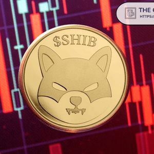 Shiba Inu加密货币排名风险