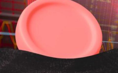 比特币暴跌引发恐慌，Bitwise CIO与ETF分析师呼吁保持冷静