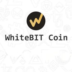 WBT价格图表分析