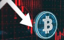 比特币进入脆弱阶段：长期持有者年度已实现利润缩减，市场面临关键转折