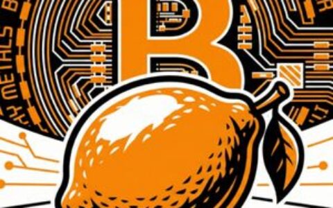 Lemon报告：拉丁美洲加密货币用户增长速度是美国的三倍