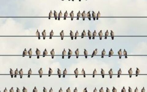 美国当局逮捕Goliath Ventures高管，涉嫌3.28亿美元加密货币庞氏骗局