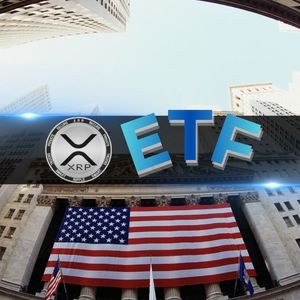 XRP ETF资金流入分析