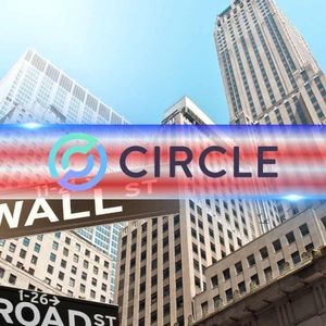 Circle财务业绩