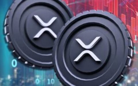 分析师揭示XRP投资者今日最佳操作策略