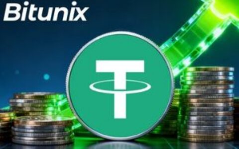 Bitunix Earn USDT收益评测：每日投资回报率详解