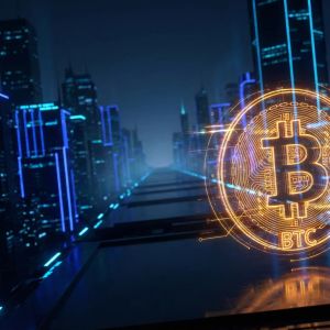 企业力量重塑比特币的去中心化遗产：从P2P支付到机构主导的转变