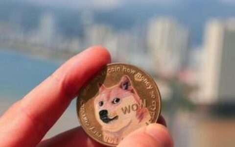 专家分享狗狗币可能成为’真实货币’的三个关键原因