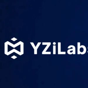 YZi Labs投资Hash Global BNB基金
