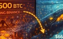 悄然积累：13,500枚比特币流出币安，暗示鲸鱼在66,000美元进行战略转向