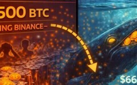 悄然积累：13,500枚比特币流出币安，暗示鲸鱼在66,000美元进行战略转向