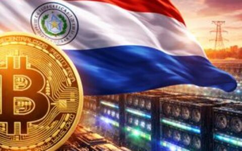 巴拉圭计划启动首个国家运营的比特币挖矿项目，利用查获矿机创造新收入