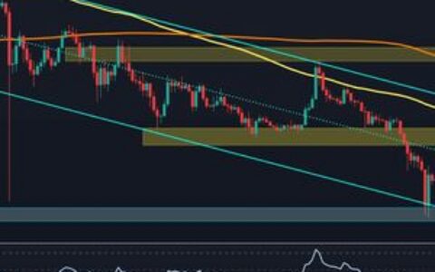 瑞波币价格分析：XRP处于关键转折点——USDT和BTC交易对的关键区域