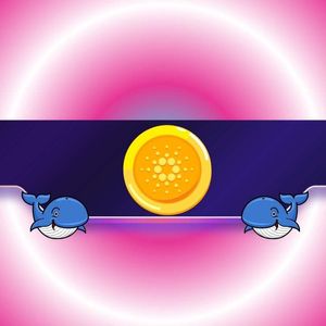 ADA Exchange Netflow, Source: CoinGlass