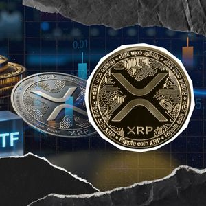 XRP ETF市场分析