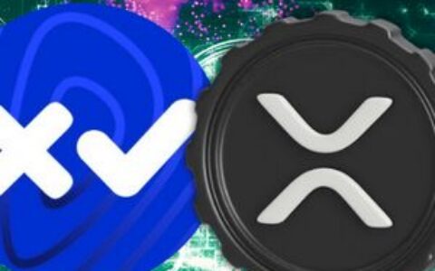 Xaman创始人警告XRP用户：”不存在Xaman浏览器插件”，虚假扩展程序涌现